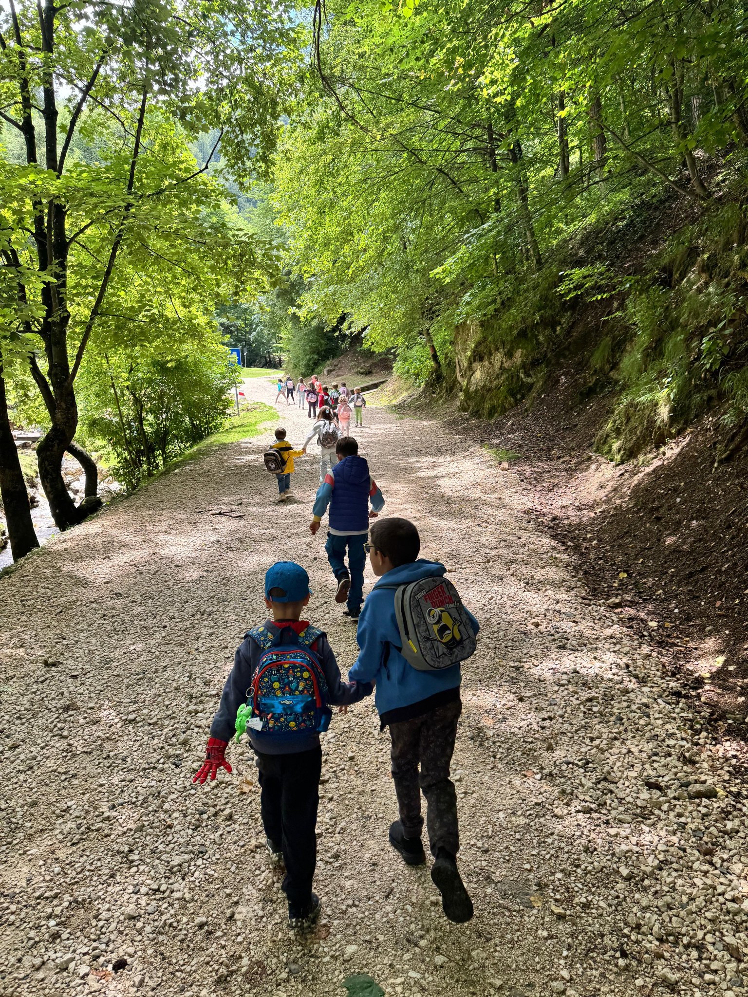 Plimbare prin pădure